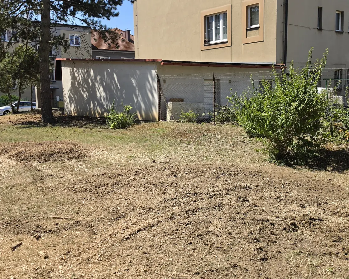 Zahrada po odfrézování pařezů — plocha srovnaná a namulčovaná