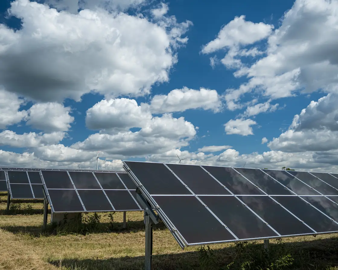 Řady fotovoltaických panelů s přerostlým porostem pod konstrukcemi